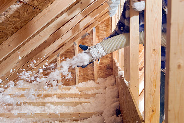 Best Basement Insulation in Bellevue, OH